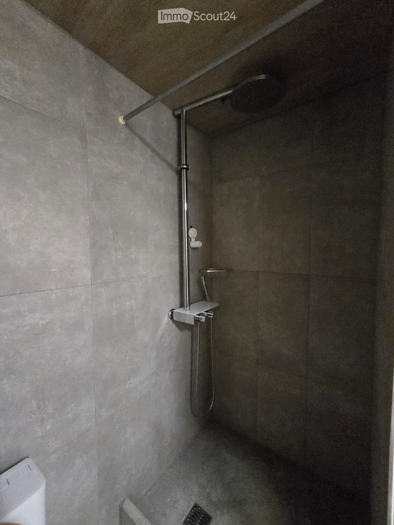 Appartement rénove 2.5 pc (4)