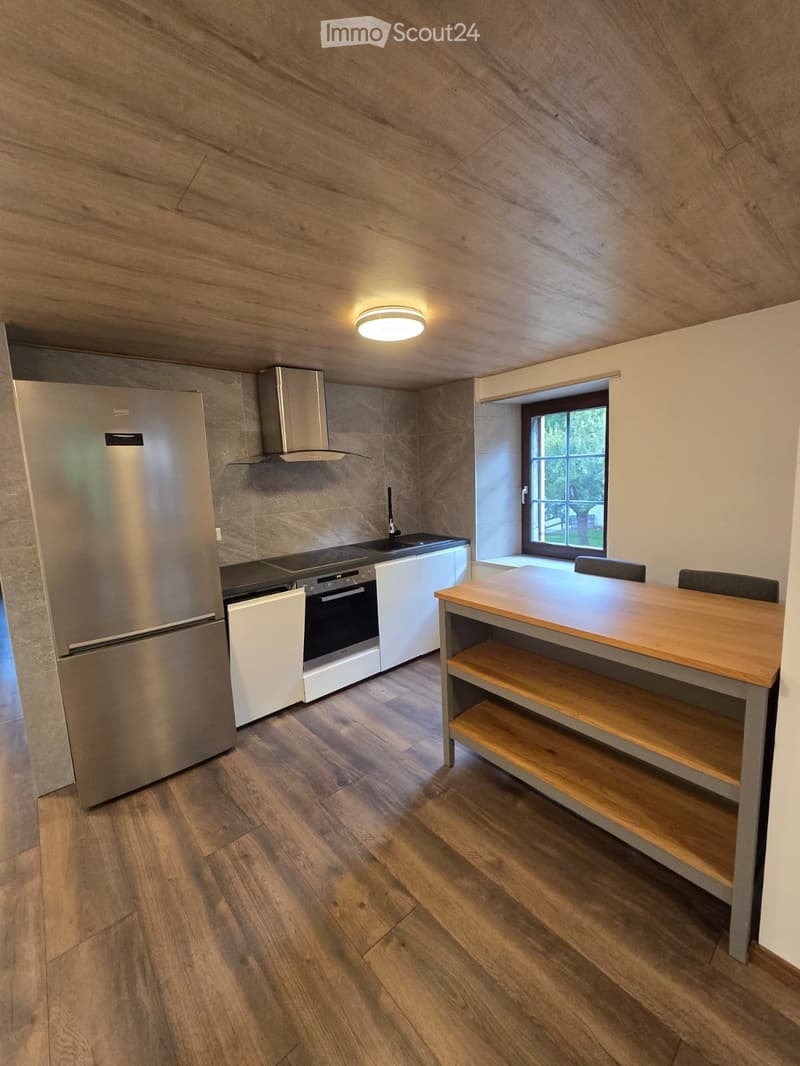 Appartement rénove 2.5 pc (2)
