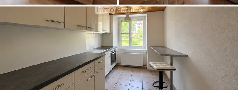 Bel appartement lumineux et chaleureux de 3 pièces (4)