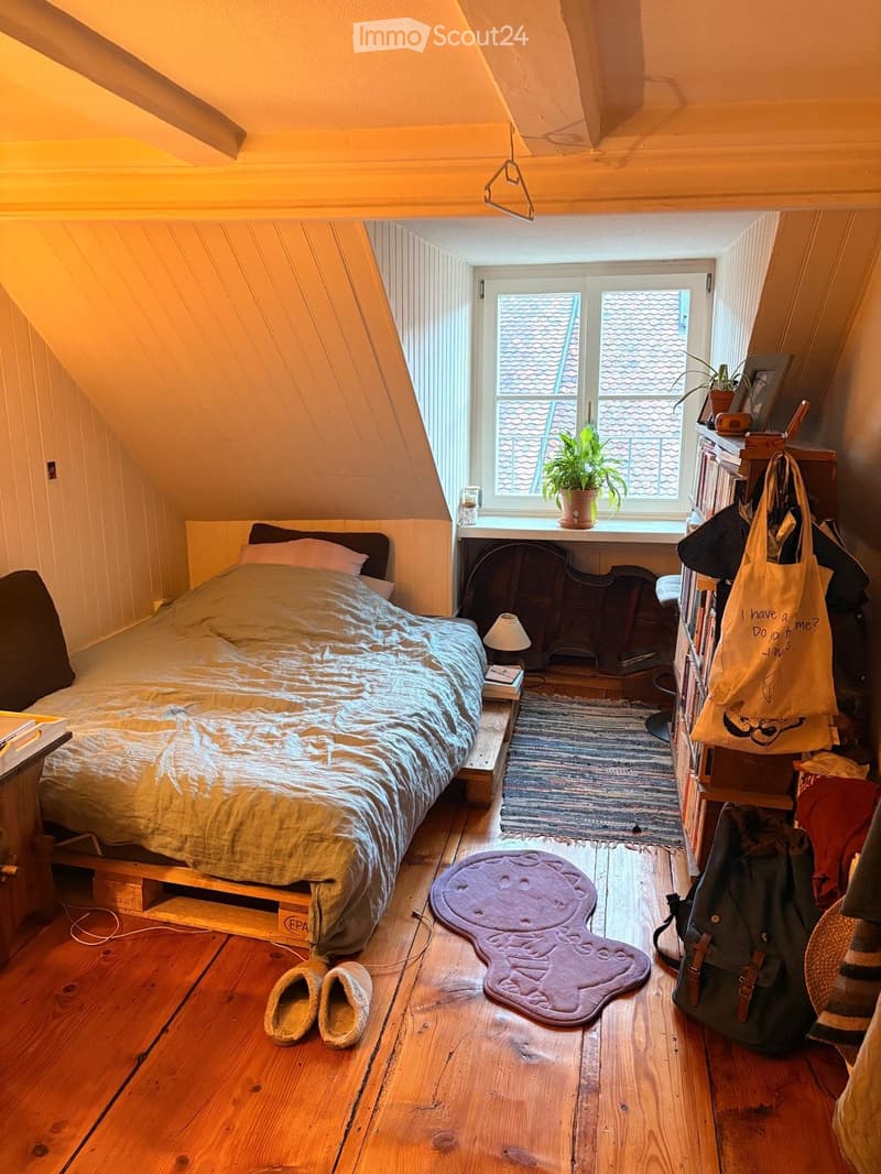 Belle chambre dans appart plein de cachet au centre ville. (1)