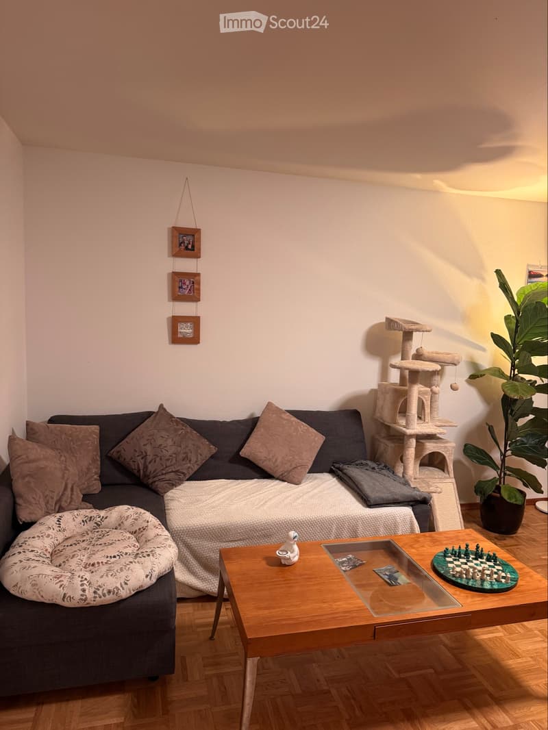 Chambre en colocation (4)