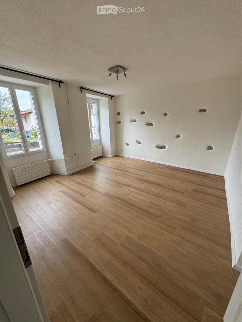 Appartement 1 pièce à louer (2)