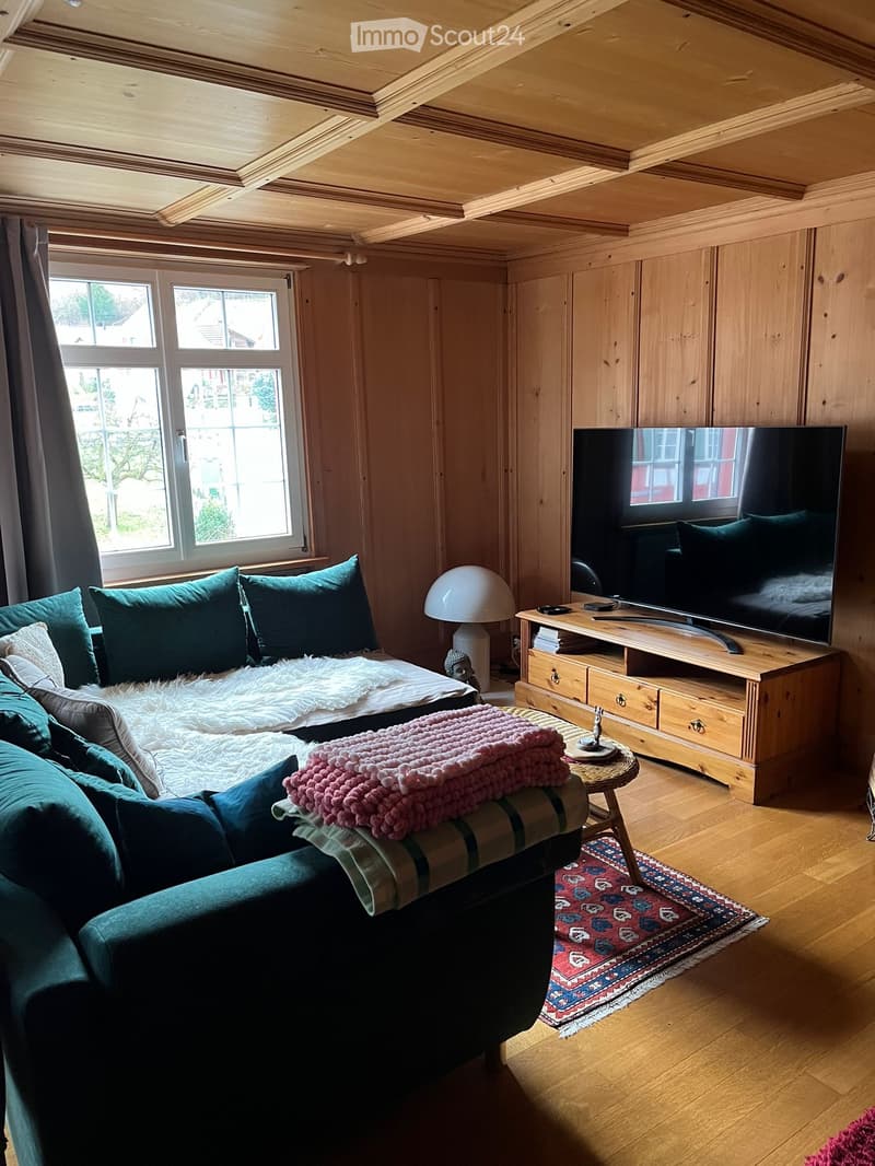 Schöne 2.5-Zimmer-Wohnung (71 m2) (4)