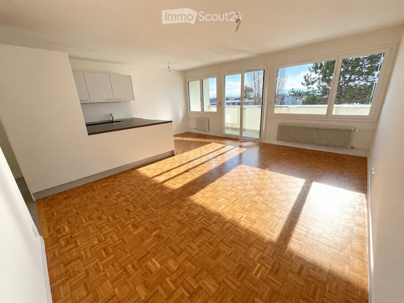 Appartement 4.5 (2)