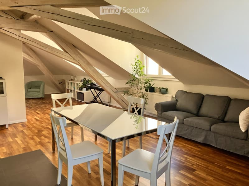 Loft Lausanne vue cathédrale (1)