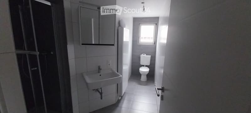 Grosszügige 5.5-Zimmer-Wohnung mit über 150 m² Terrasse (5)