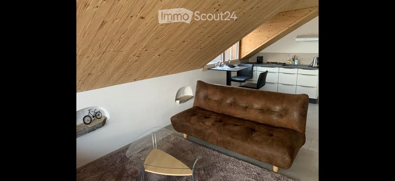 De Suite magnifique Loft face au lac dans les vignes (2)