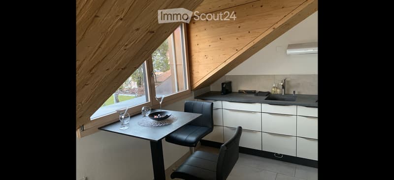 De Suite magnifique Loft face au lac dans les vignes (3)