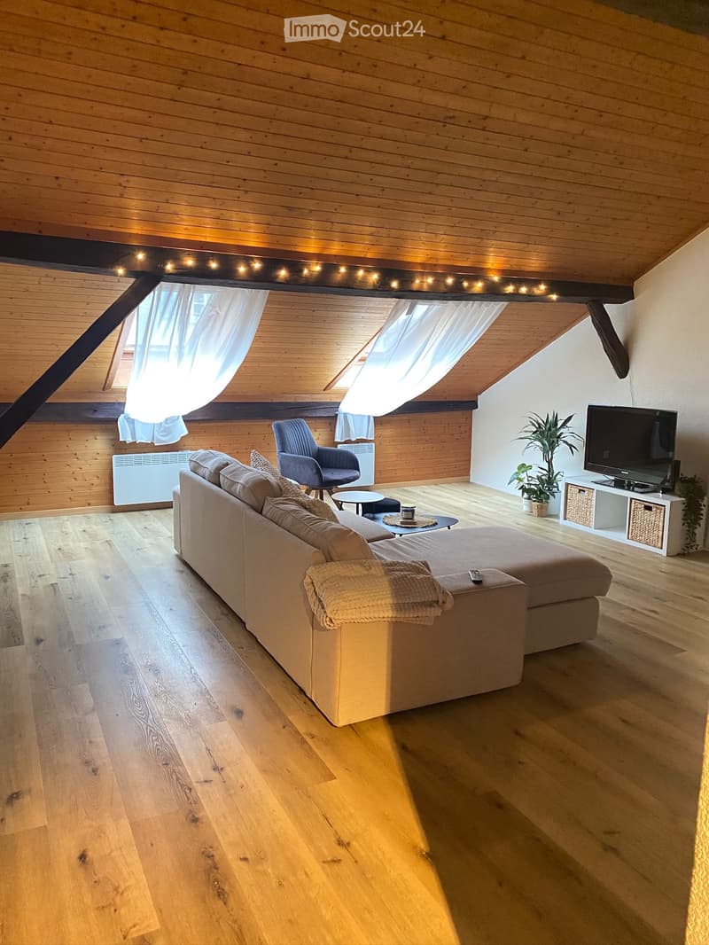 Chambre en coloc (4)