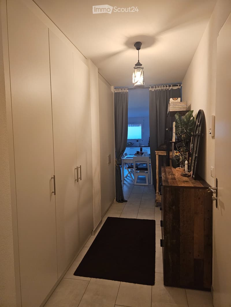Reprise de bail - Appartement Ecublens FR (1)