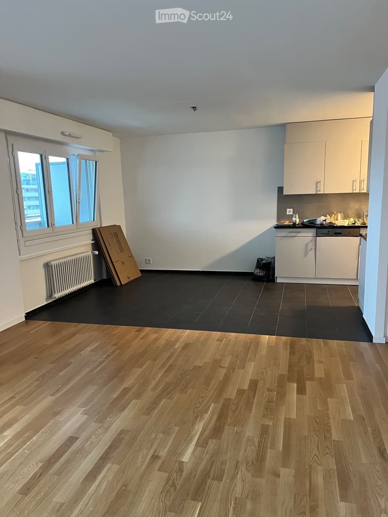 Appartement 3,5 pièces à remettre de suite (2)