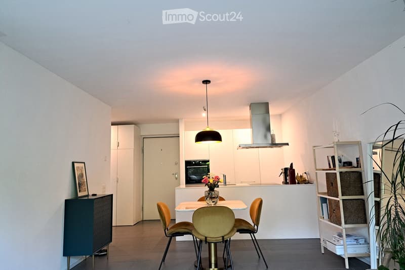2.5 locali, terrazza coperta nel verde e box Pedrinate (5)