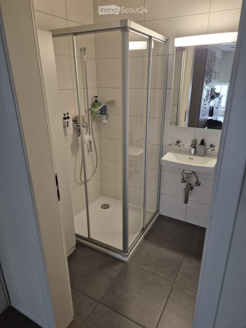 Appartement à louer à Villiers (Val-de-Ruz) (2)