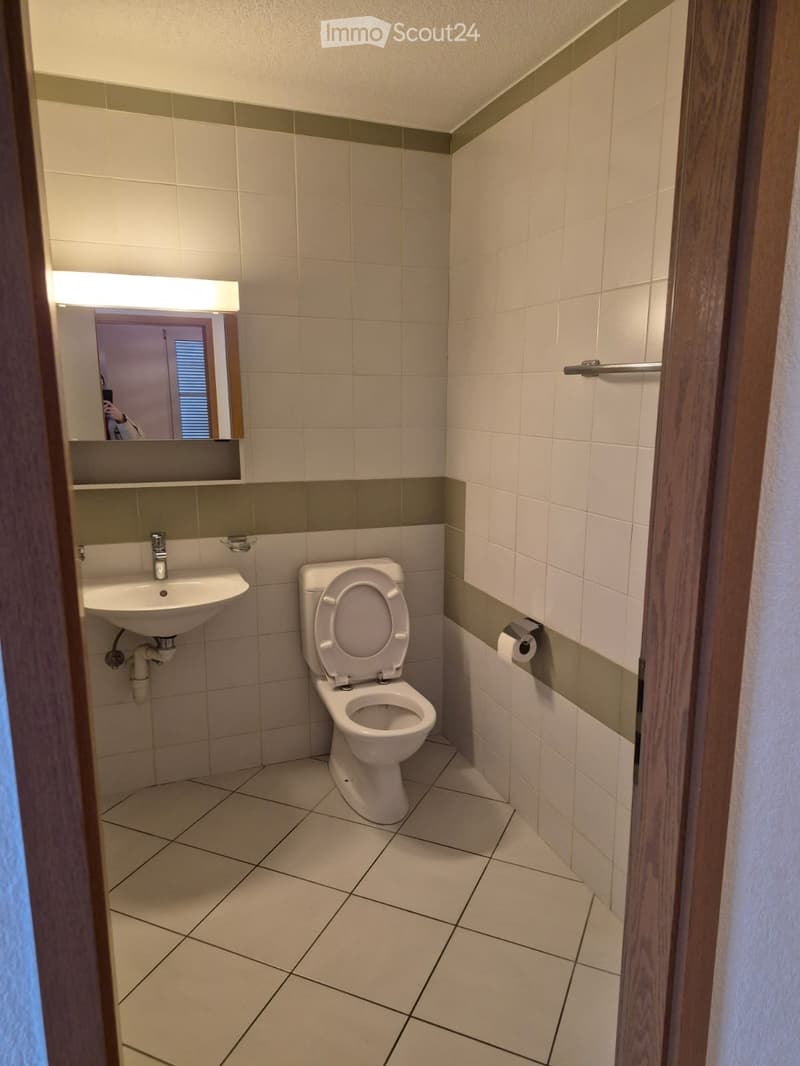 Appartement 2 pièces Les Hauts-Geneveys (3)
