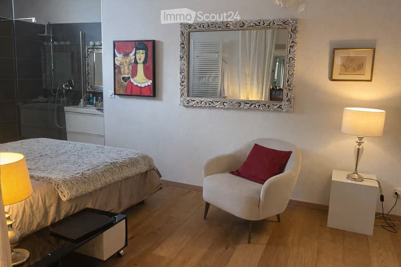 LOFT vue exceptionnelle lac - 50 m de la plage (4)