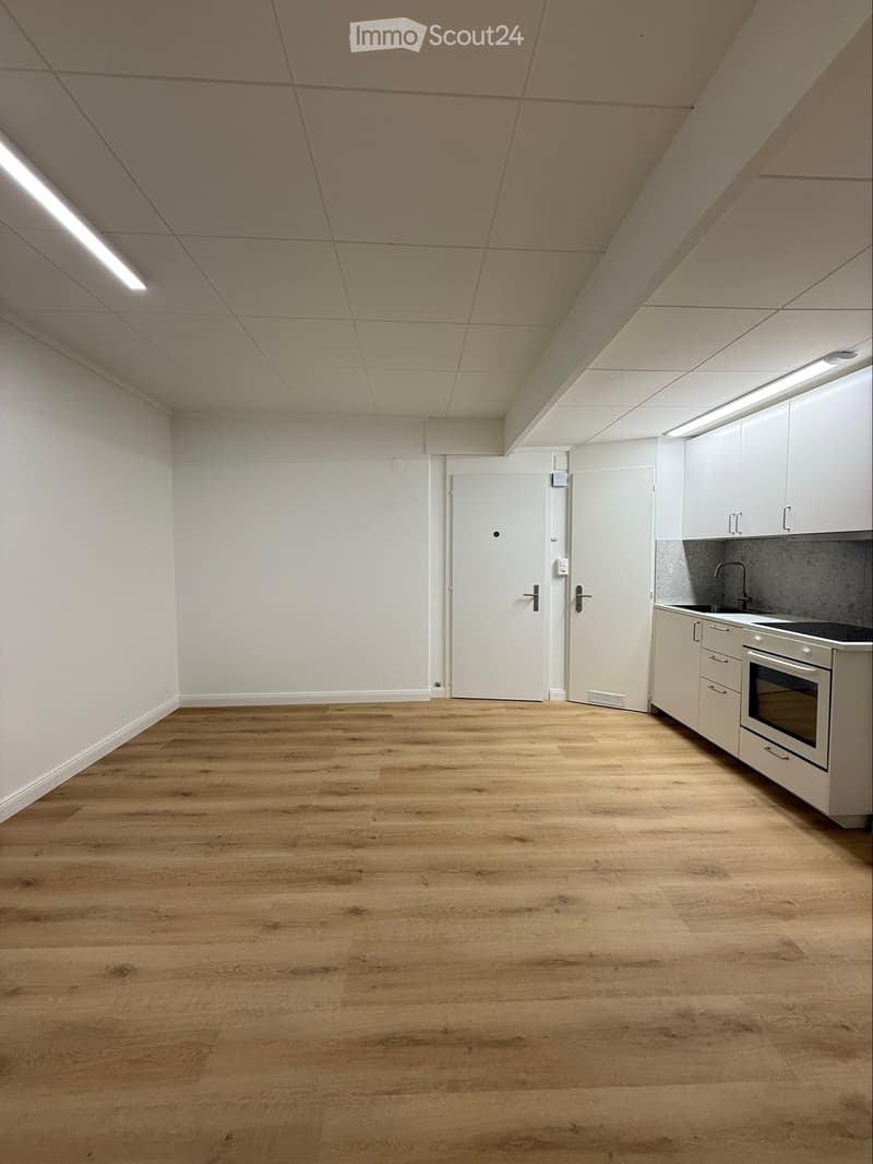 Appartement 2.5 pièces // 2.5 Zimmer-Wohnung (4)