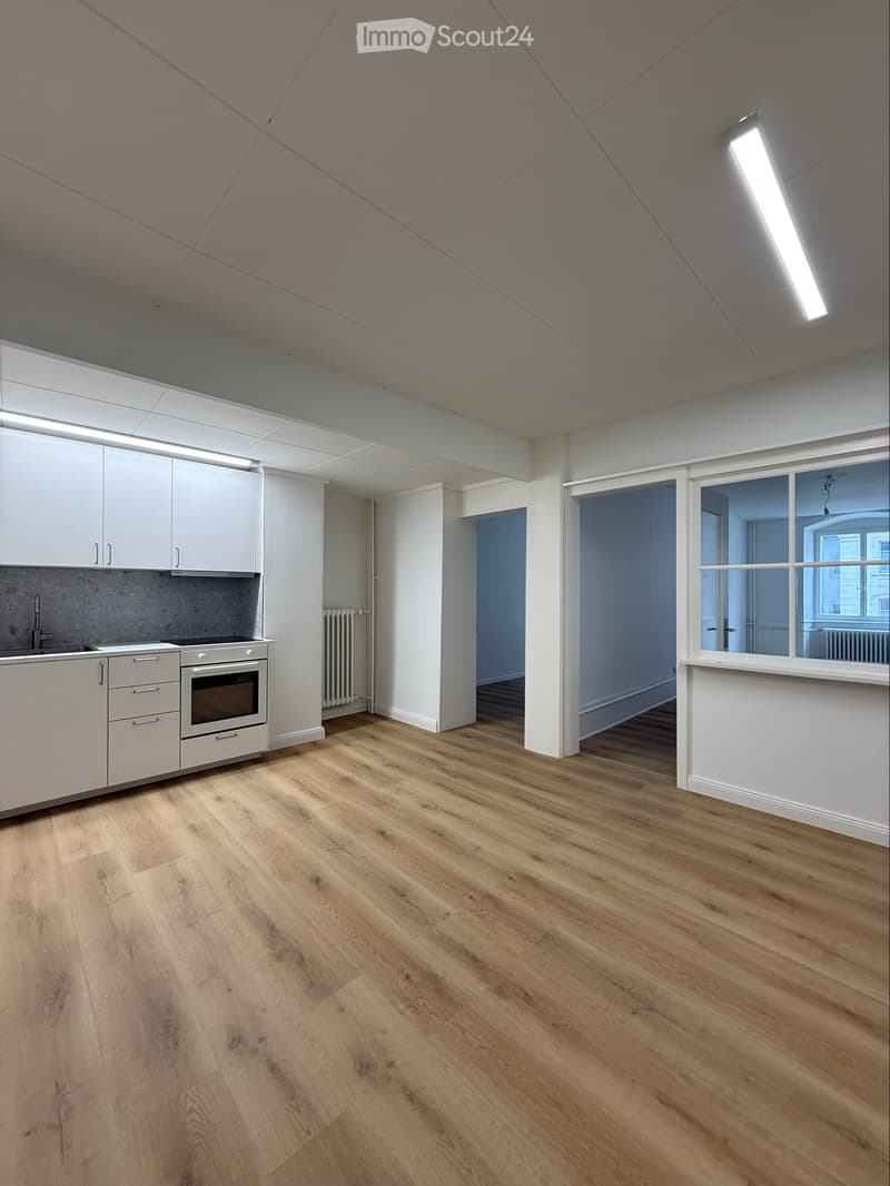 Appartement 2.5 pièces // 2.5 Zimmer-Wohnung (1)