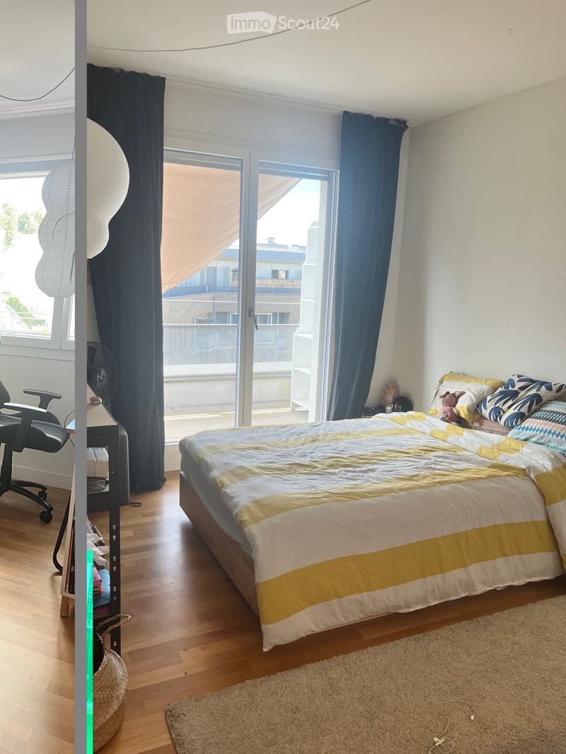 Magnifique appartement avec vue sur le Léman et les Alpes (5)
