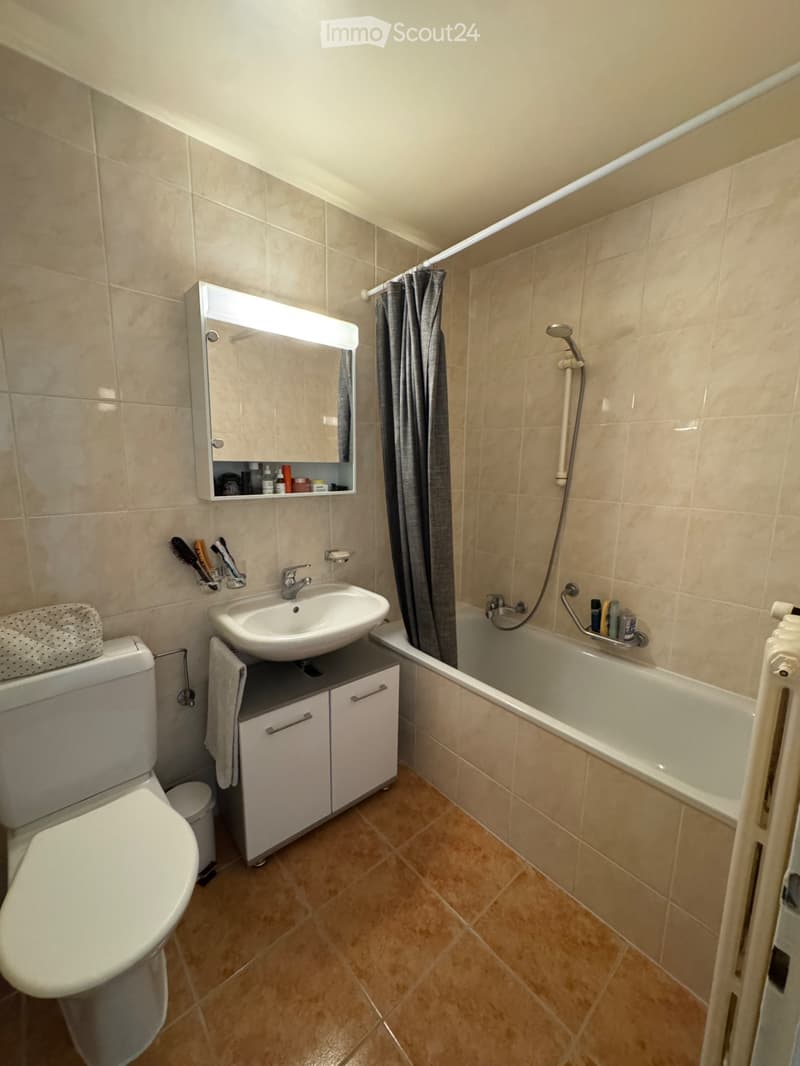 APPARTEMENT À LOUER LUTRY (4)