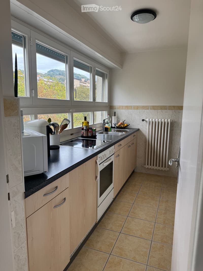 APPARTEMENT À LOUER LUTRY (3)