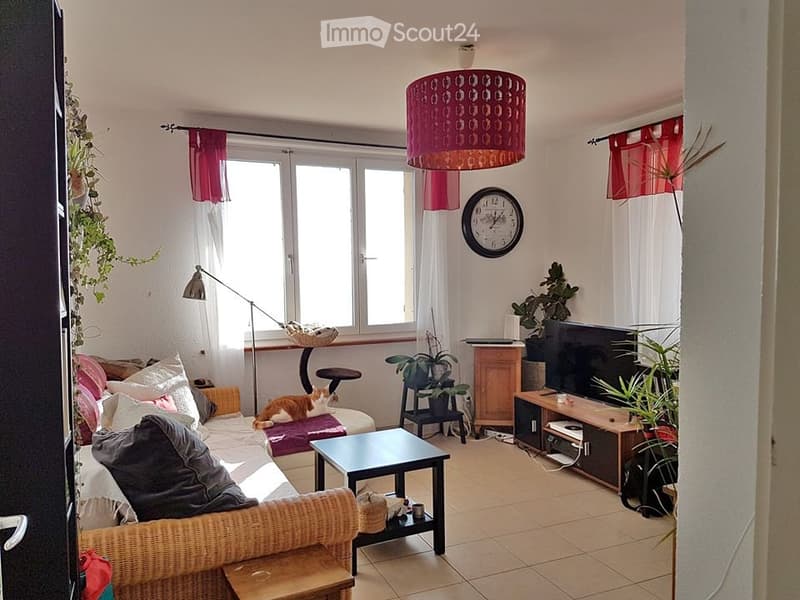 2.5 p au milieu des vignes à louer dès le 1er janvier 27 (1)