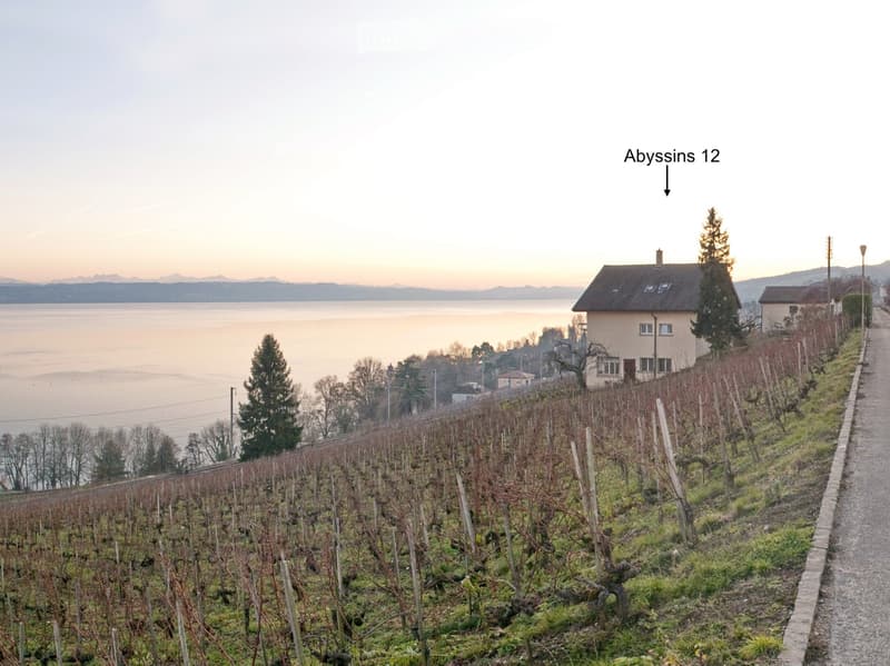2.5 p au milieu des vignes à louer dès le 1er janvier 27 (5)