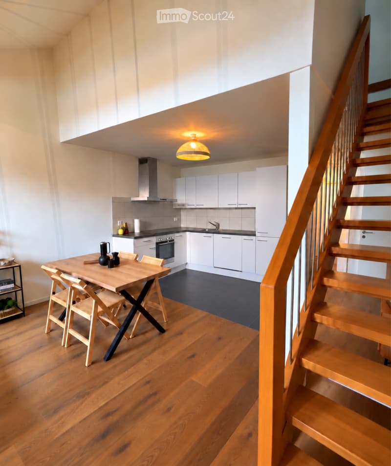 Appartement de 4 pièces en duplex (2)