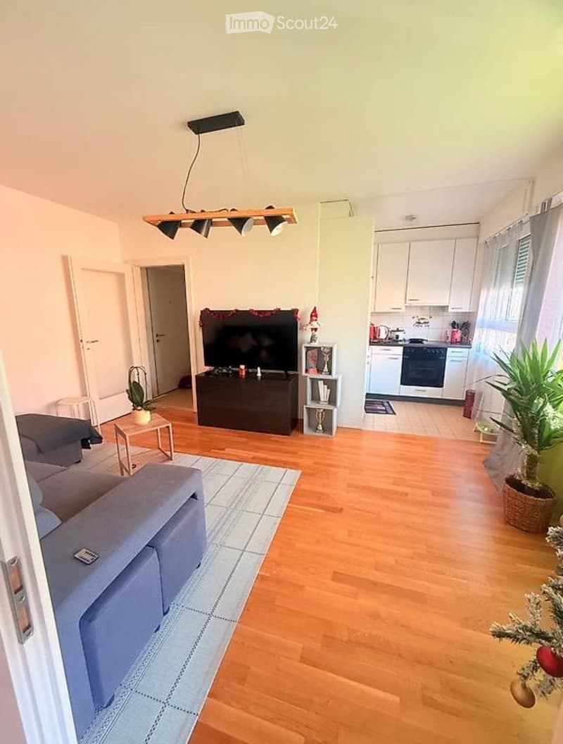 Bel apt de vacances à louer, (2)