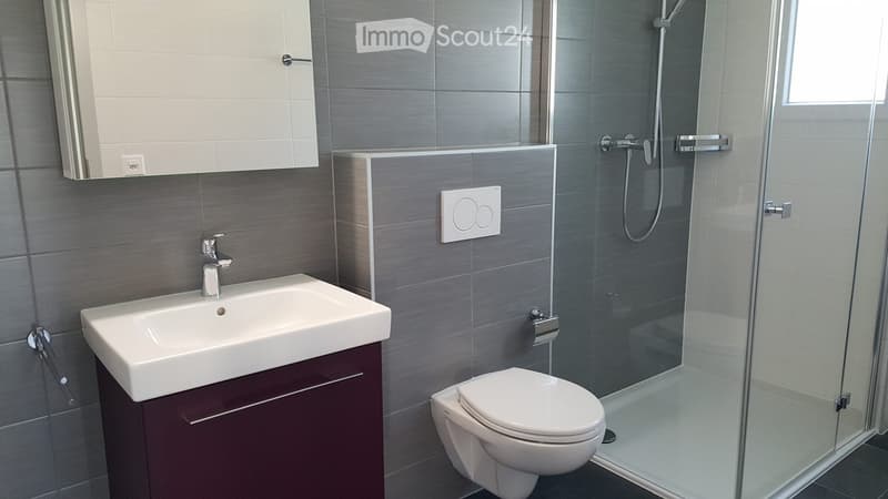 Appartement 2.5 pièce à louer (4)
