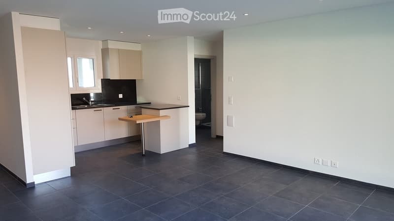 Appartement 2.5 pièce à louer (1)