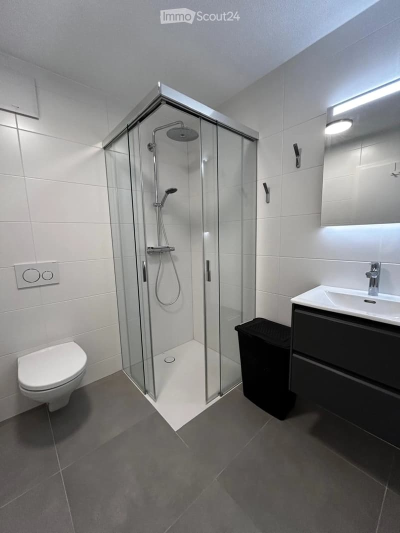 Appartement 3.5pc avec 2 places de parc (4)