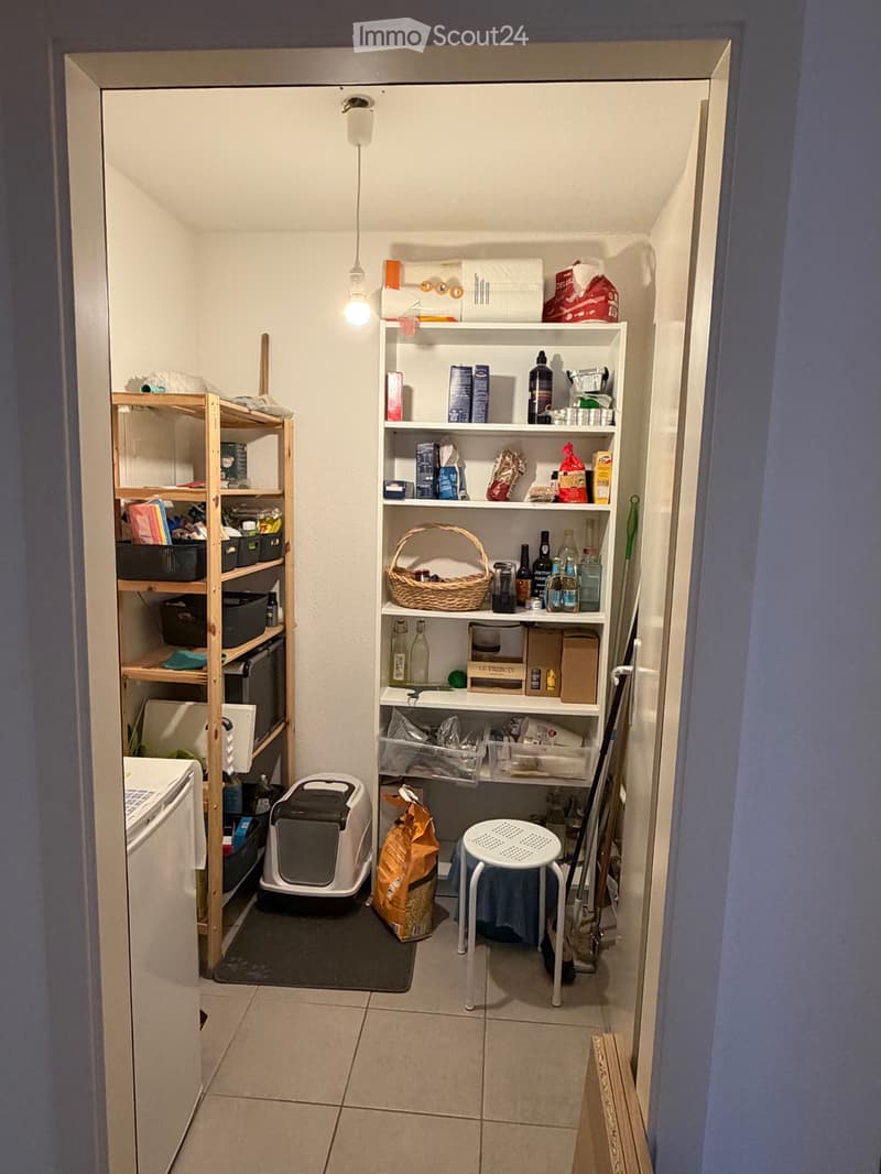 Appartement mansardé de 3,5 pièces (4)