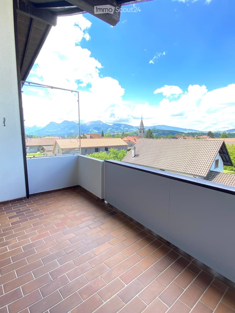 Appartement rénové meublé de 3.5 pces (3)