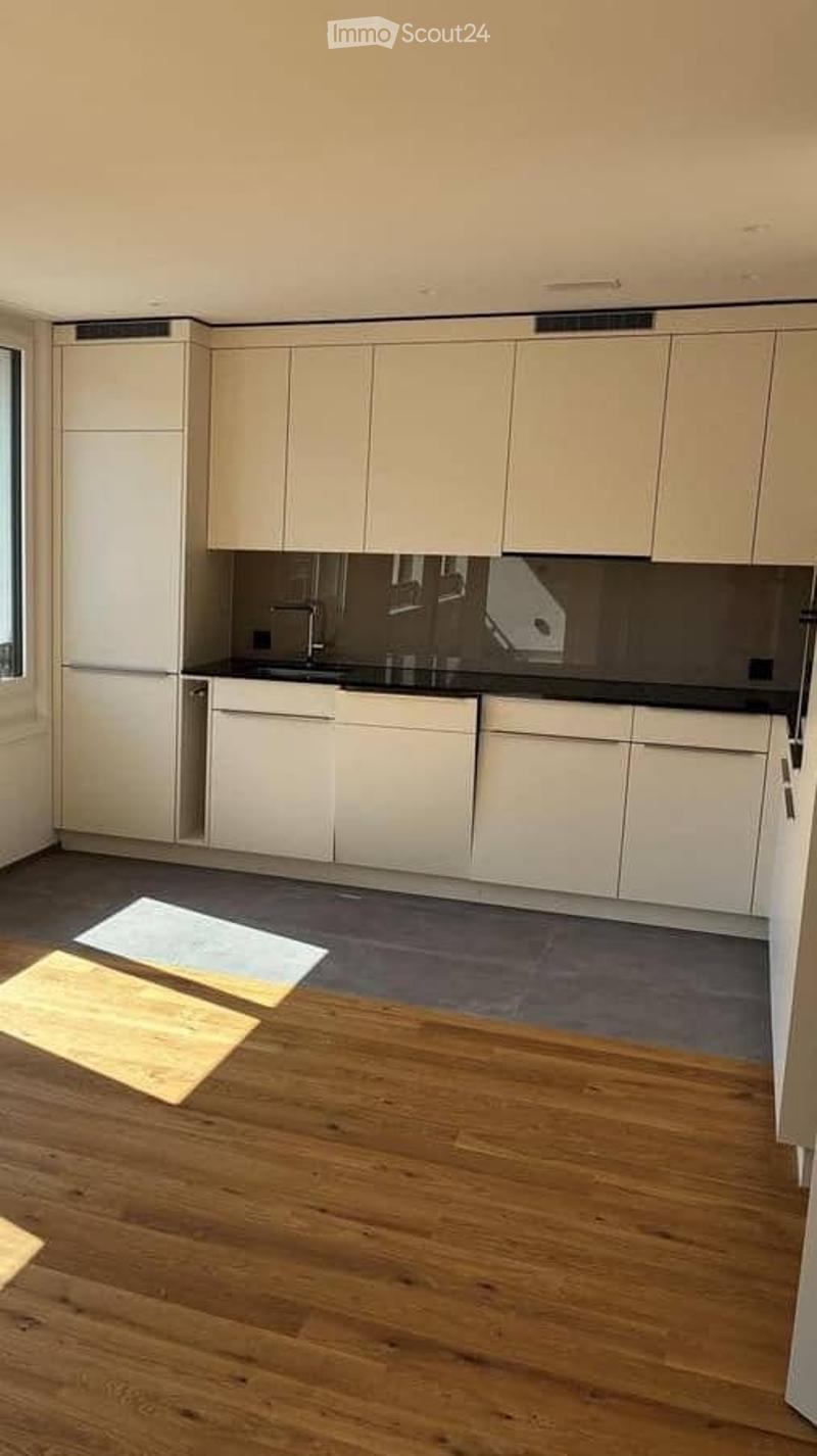 Schöne 111 m² große Wohnung in Sursee 2,5 Zimmer (4)