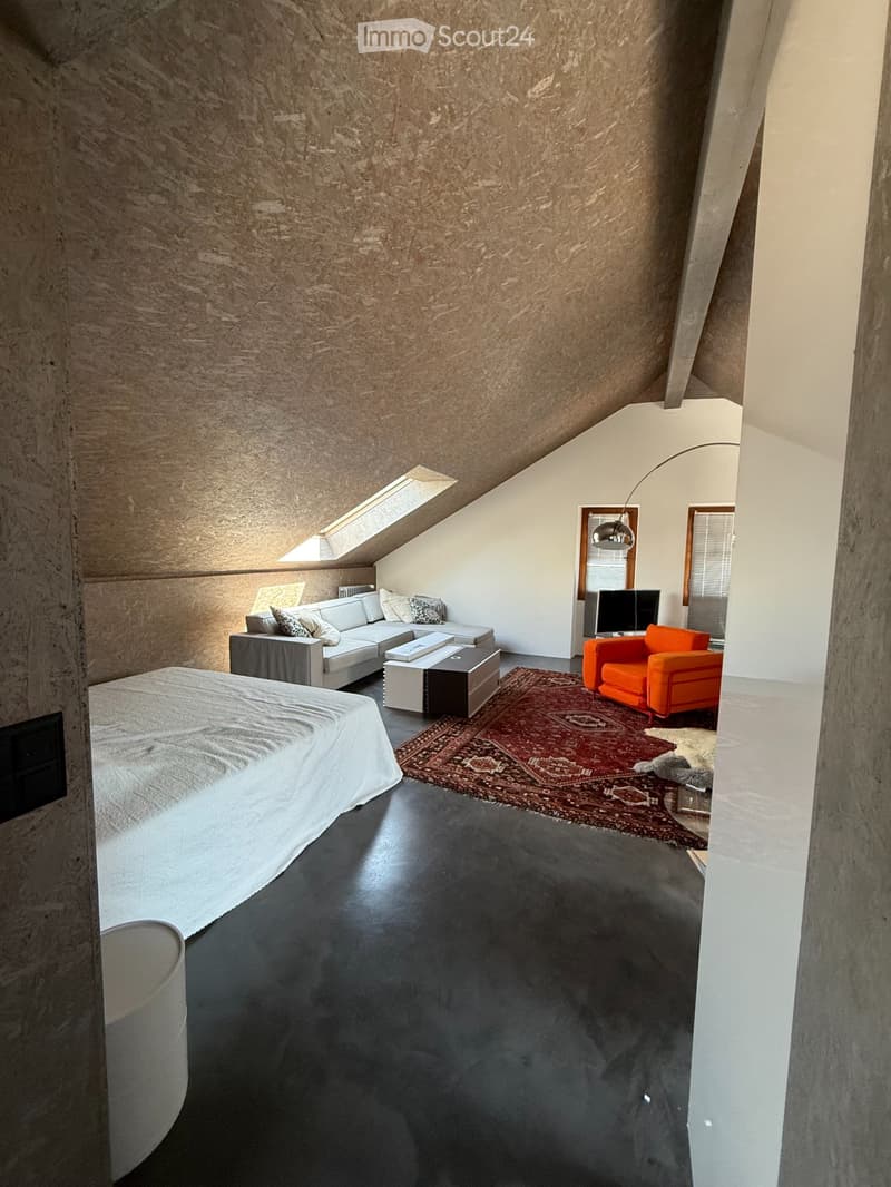 Magnifique Loft meublé à Chavannes-près-Renens (5)