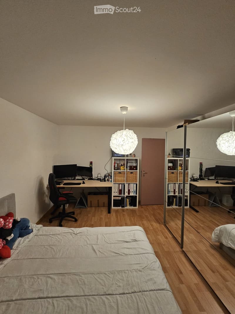 A remettre 3.5 à Hauterive (3)