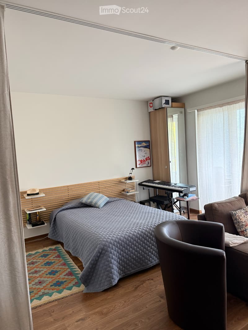 Appartement de 1.5 pièce avec terrasse sud vue sur lac (5)