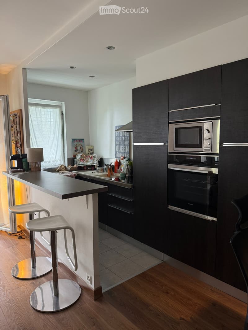 Appartement de 1.5 pièce avec terrasse sud vue sur lac (3)