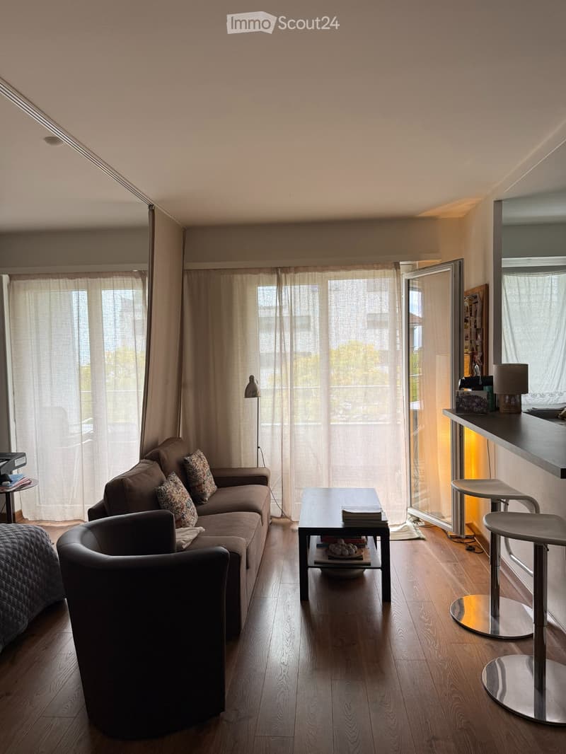 Appartement de 1.5 pièce avec terrasse sud vue sur lac (4)
