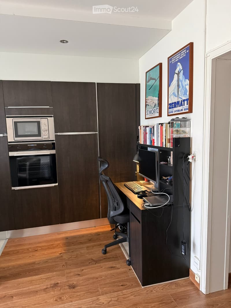 Appartement de 1.5 pièce avec terrasse sud vue sur lac (2)