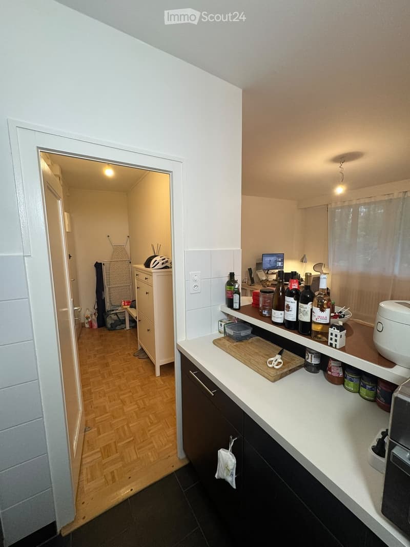 Charming Apartment in Eaux-Vives, Available November 1, 2026 (4)