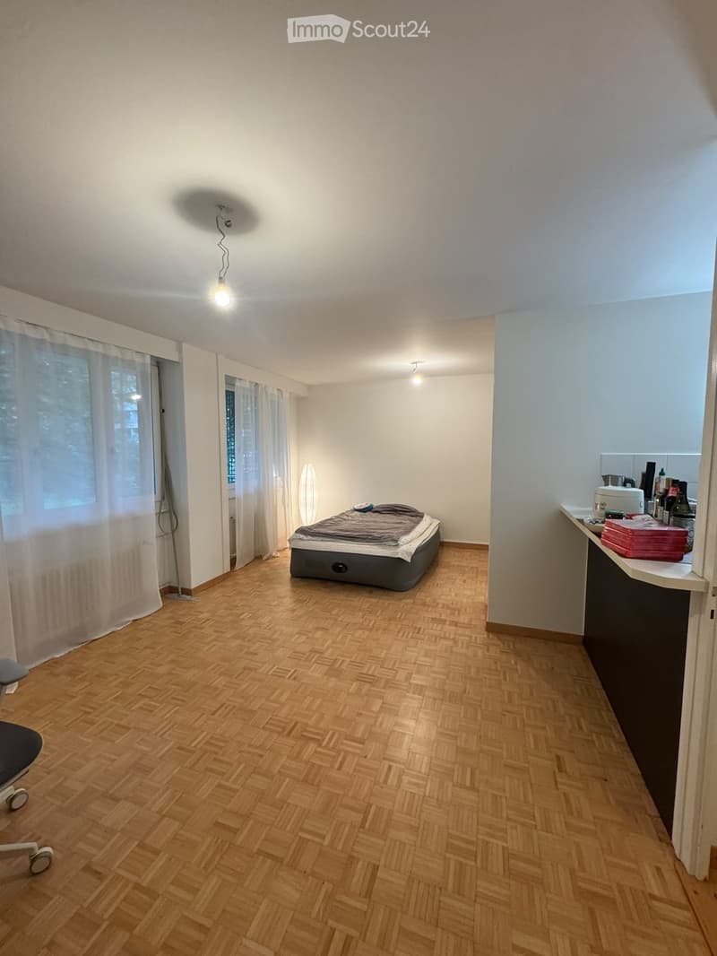 Charming Apartment in Eaux-Vives, Available November 1, 2026 (2)