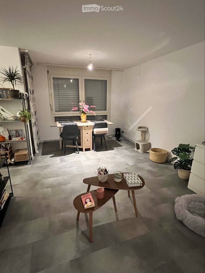 Neyruz Appartement 2,5 pièces lumineux avec terrasse (2)