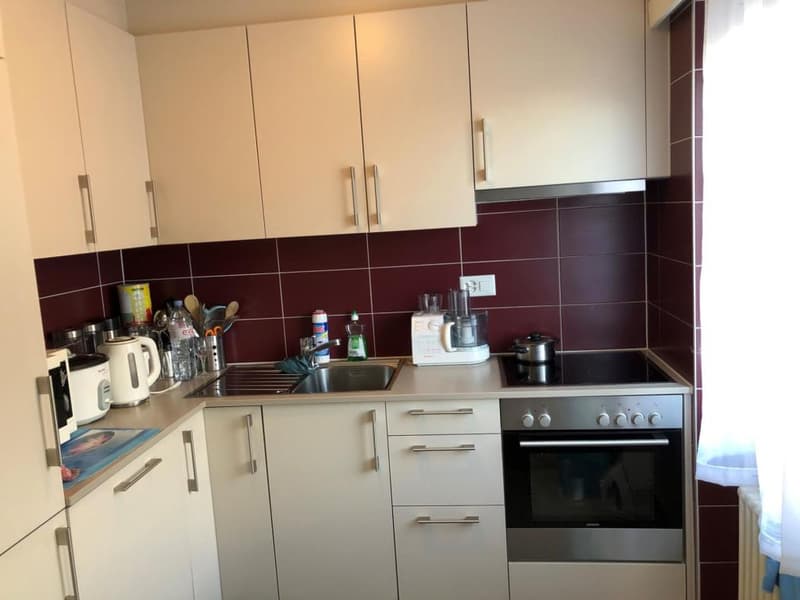 MARTIGNY - 4.5 Room Apartment (6)