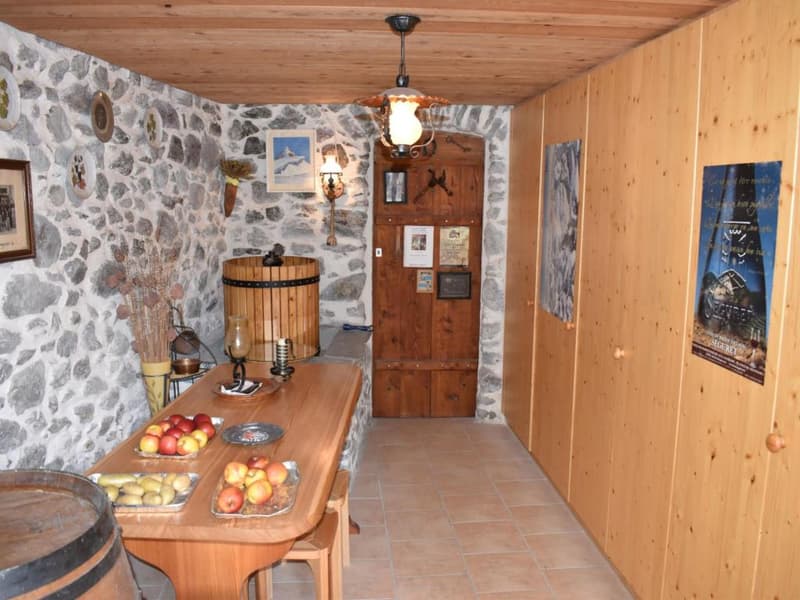 Collonges: Appartamento 2,5 Locali e Annessi (10)