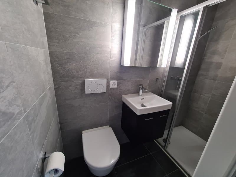 06230 - Apartment 4.5 rooms - Ch. de la Barme 39 - Collombey (4)