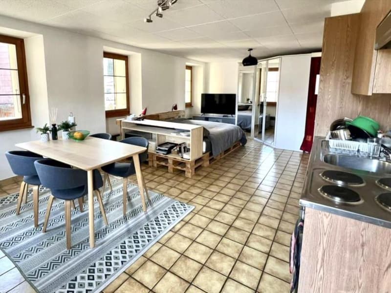 Monthey - Rental Property (7)