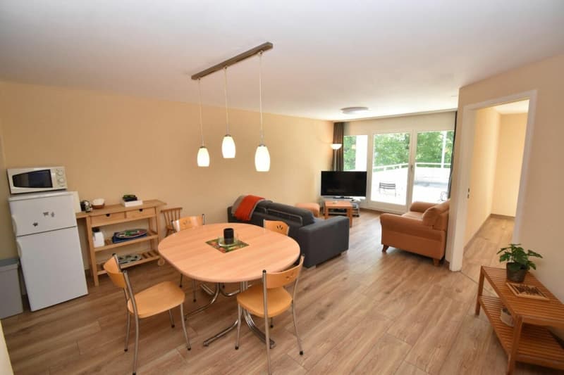 Apartment 4.5 rooms in Leysin (2)