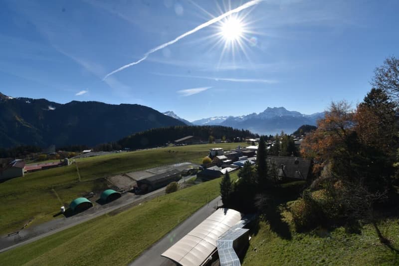 Olympiade 13 (9)