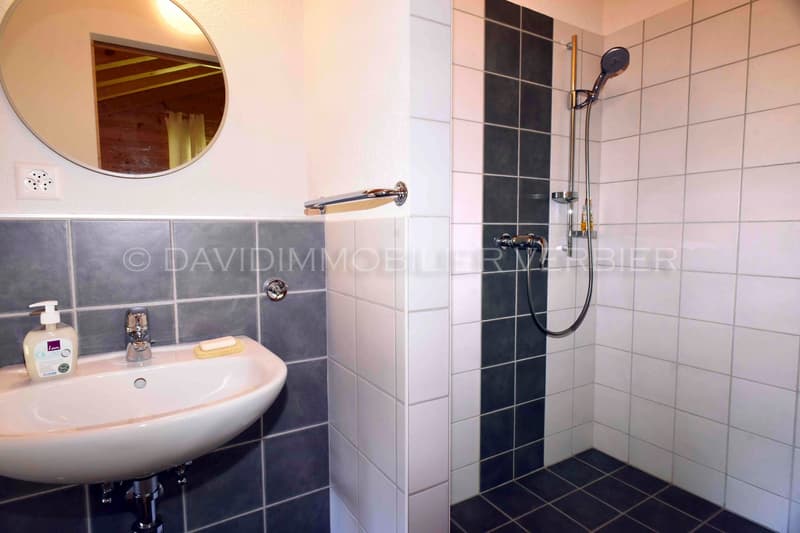 white sink, black and white tiled walls, handheld shower head, mirror, electric outlet, soap dispenser, soap on the sink, shower curtain